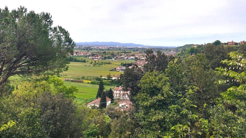 הטרסות מתפרסות לכל עבר במורדות הגבעה