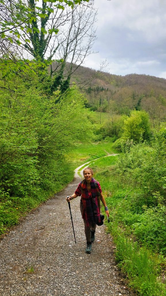הלכנו בשביל ברור ומסומן בסמל הדרך