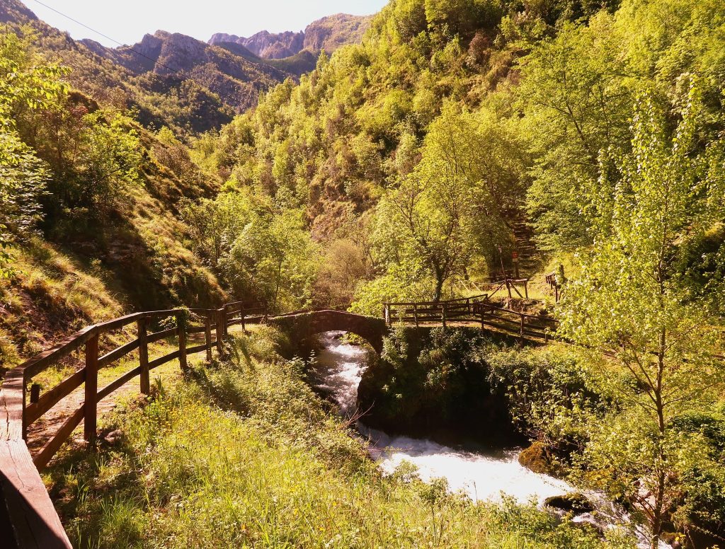 צעדנו בדרך העתיקה שעקבה אחר תוואי הנחל והאשדות הזורמים