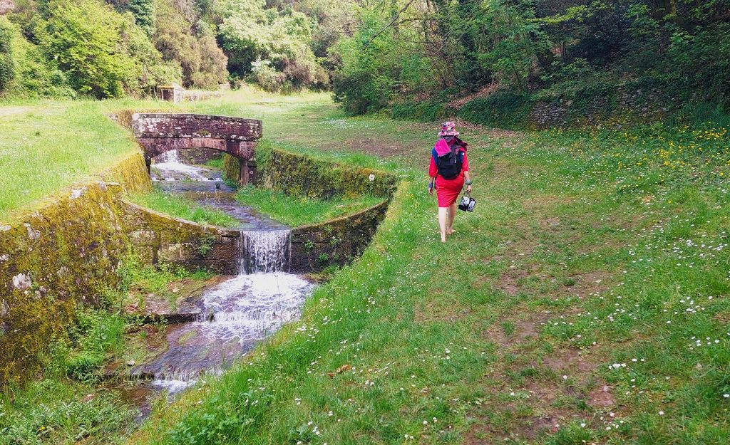 לוקה האורבנית הפתיעה אותנו בשפע המעיינות ופלגי המים סביבה