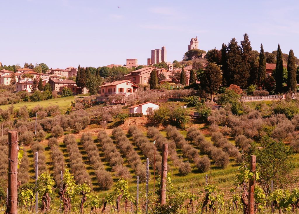 נוף המגדלים של העיירה היה מרשים להפליא