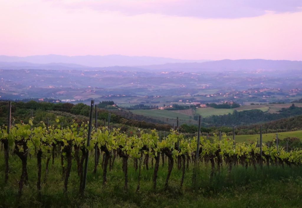 נסענו כמה שעות בנופי הגבעות המטריפות של טוסקנה