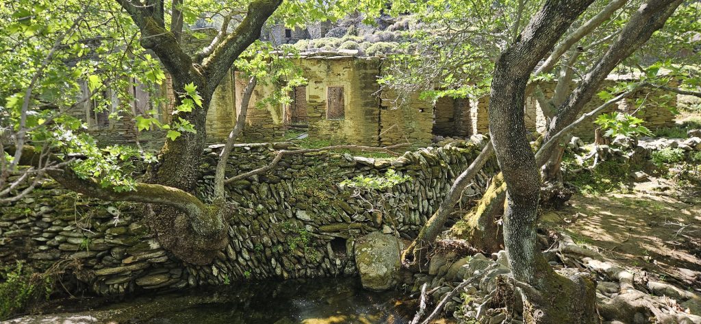 במשך מאות ואלפי שנים פיתחו תושבי אנדרוס תרבות חקלאית שהתבססה במידה רבה על חסד המים.