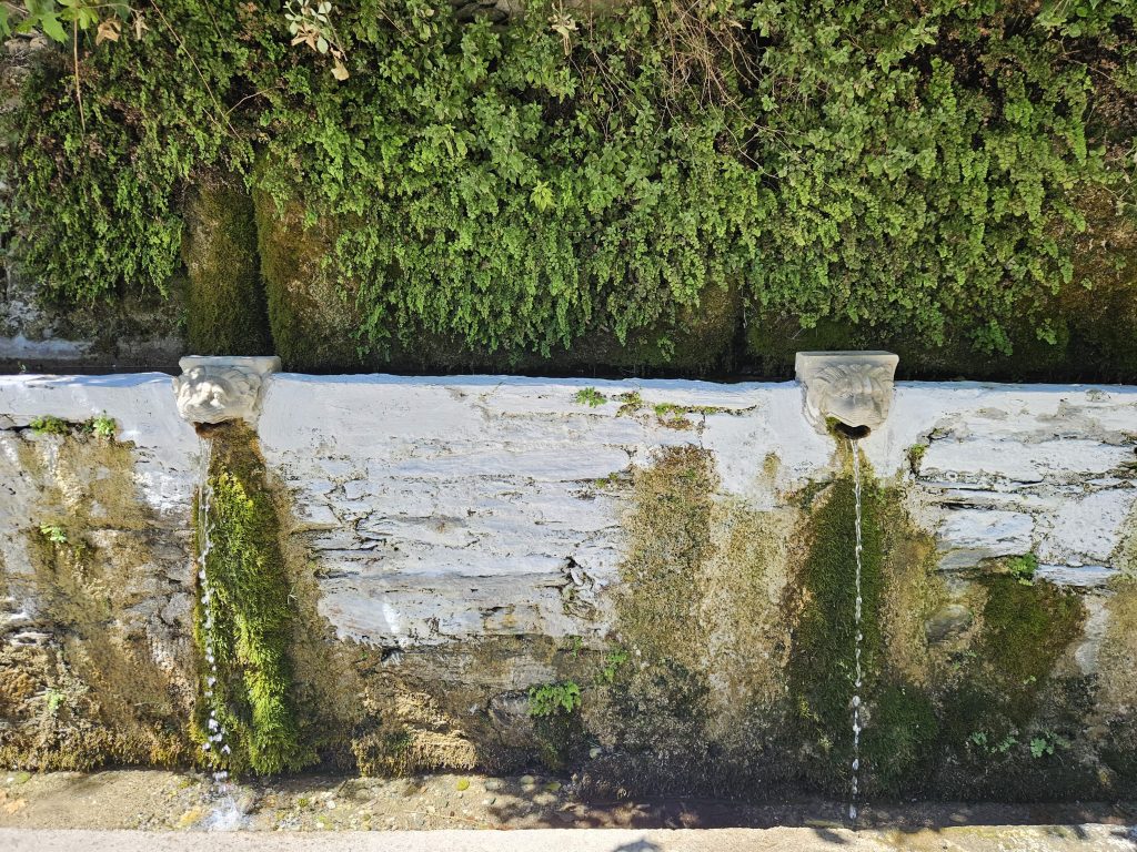 רק כאן התחלנו באמת להבין מהי משמעות של מים לחיים