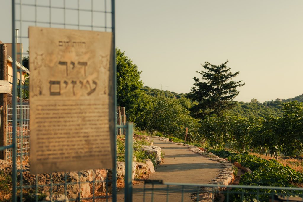 דיר העזים של חוות רום | צילום: עמר גואטה