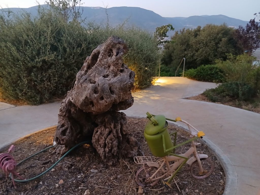 פסלים משובבי נפש פזורים ברחבי החווה | צילום: סימי שאואר