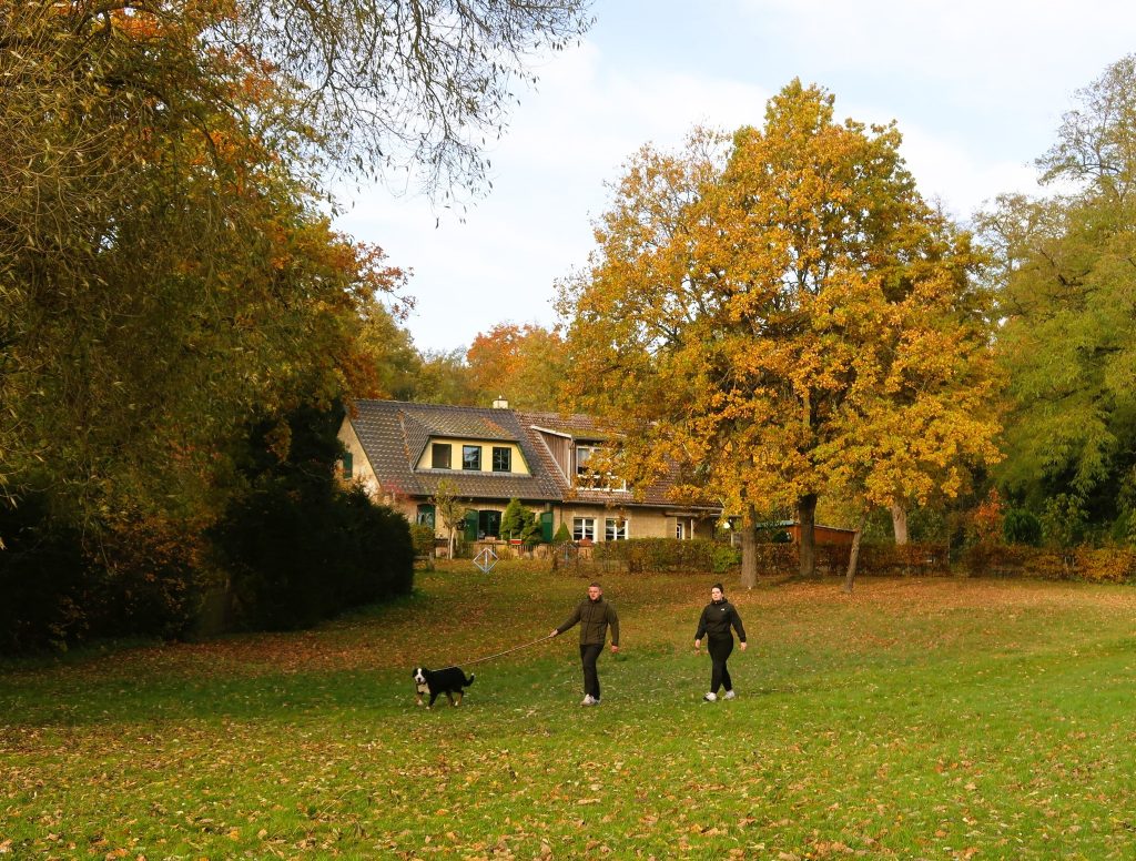 על שפת האגם הקטן יאבלשר jabelscher see פגשתי זוג צעיר מטייל עם כלב