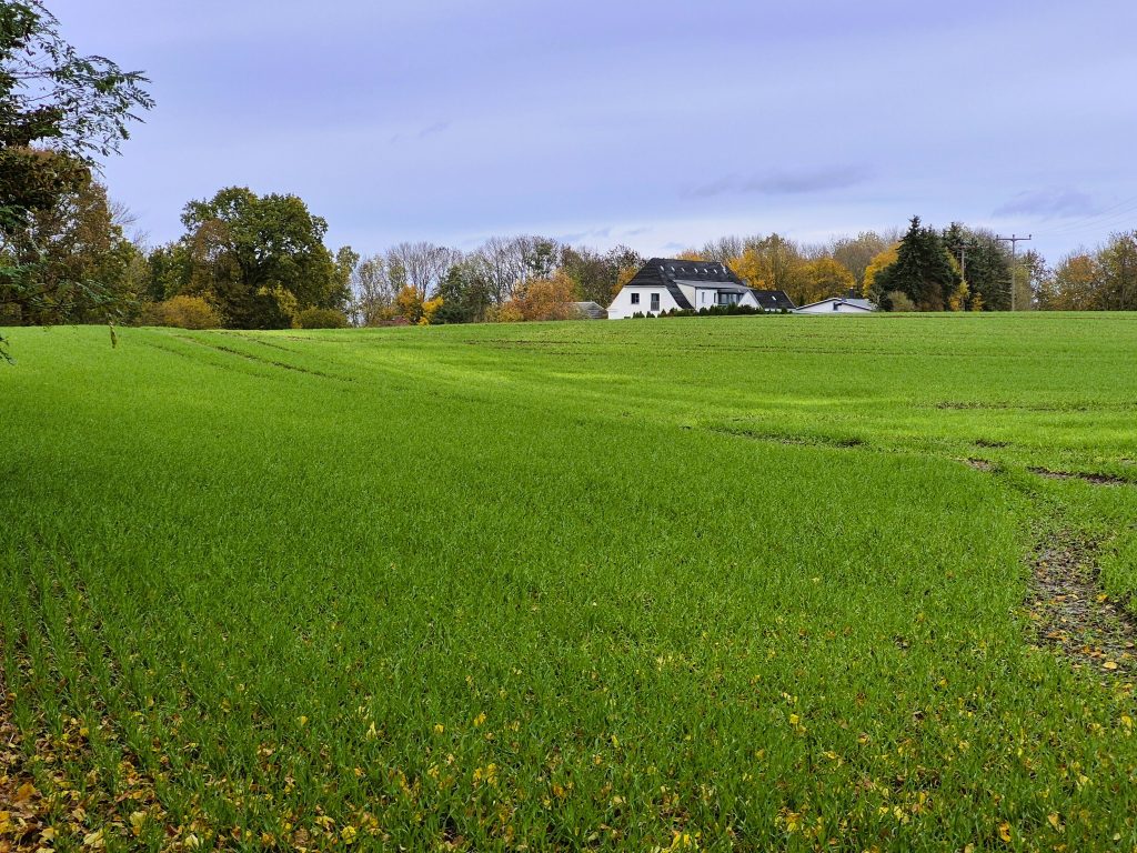 נוף הכבישים הצרים בין חוות וכפרים בואכה הים הבלטי · נוף הכבישים הצרים בין חוות וכפרים בואכה הים הבלט