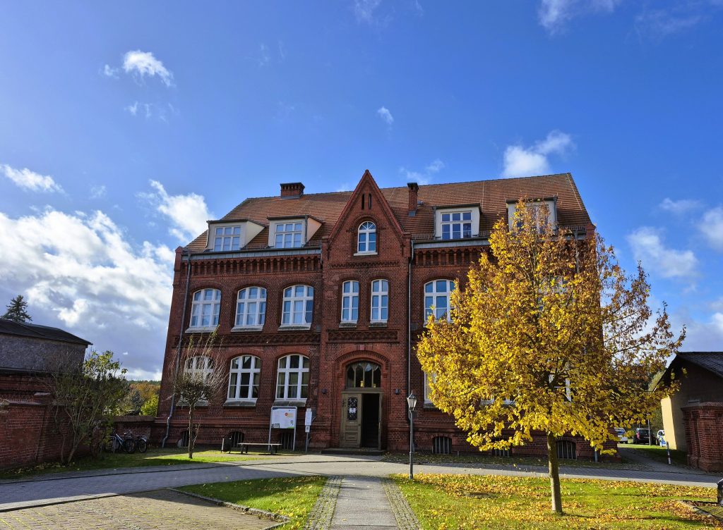 טיילתי בין הבתים היפים של לינדוו