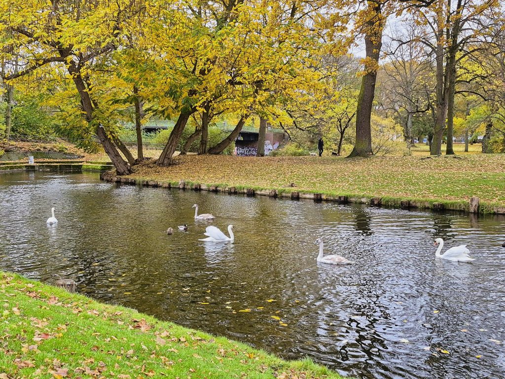 תענוג לדווש בשבילי הפארקים לצד תעלות המים