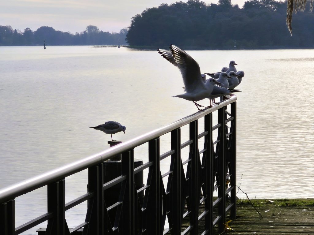 הטיילת לאורך חוף האגם בנוירופין