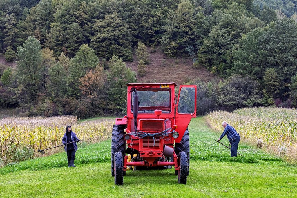 מסביב נוף, וטבע, ושדות חקלאיים על שטחים עצומים עם איכרים שחורשים וזורעים וקוצרים
