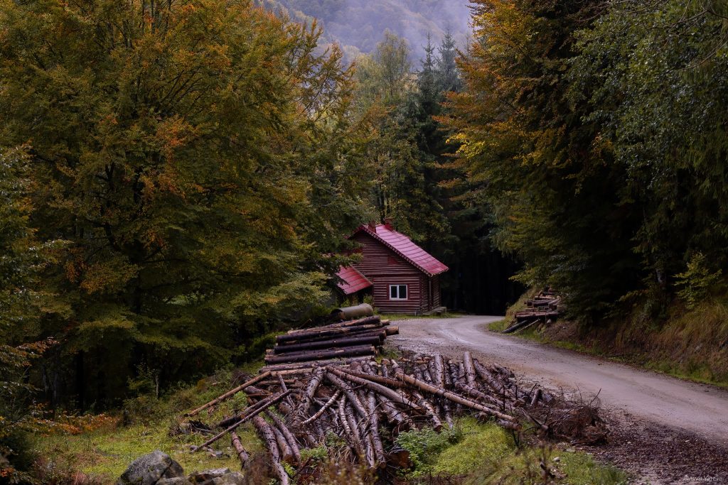 בקתה קטנה עם גג אדום ועשן שיוצא מהארובה משלימים את הסצנה