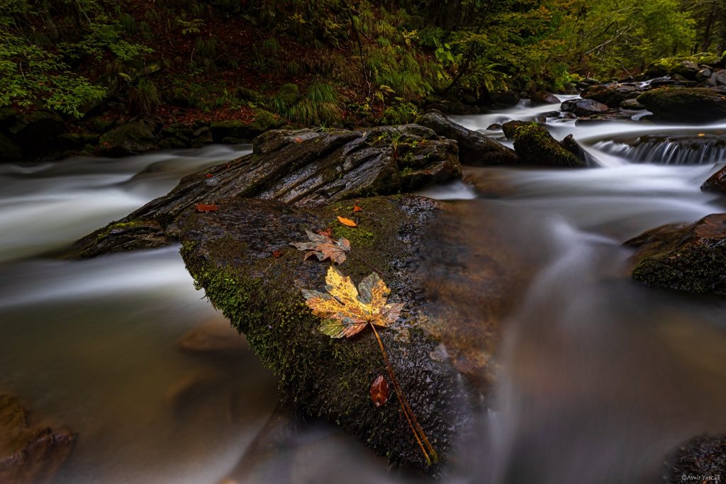 אנחנו רואים חניה קטנה לצד הכביש, עוצרים ומגלים גן עדן