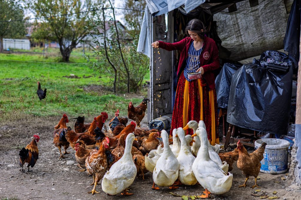 כפרי הצוענים באזור טרגו מורש. תחושה של עולם שלא השתנה בהרבה במאה האחרונה