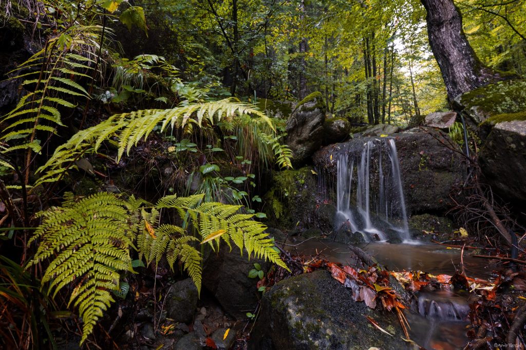 מפלים אינסופיים ונחלים שזורמים לכל עבר