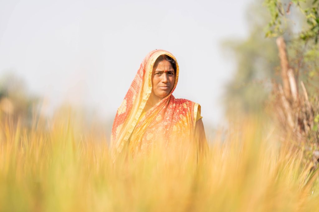 לאורך השנים הן הוסתרו תחת סארי צבעוני ששוליו מכסים את פניהן