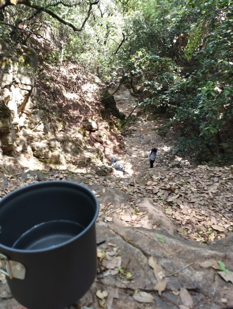 מקום יפה לקפה בנחל יגור