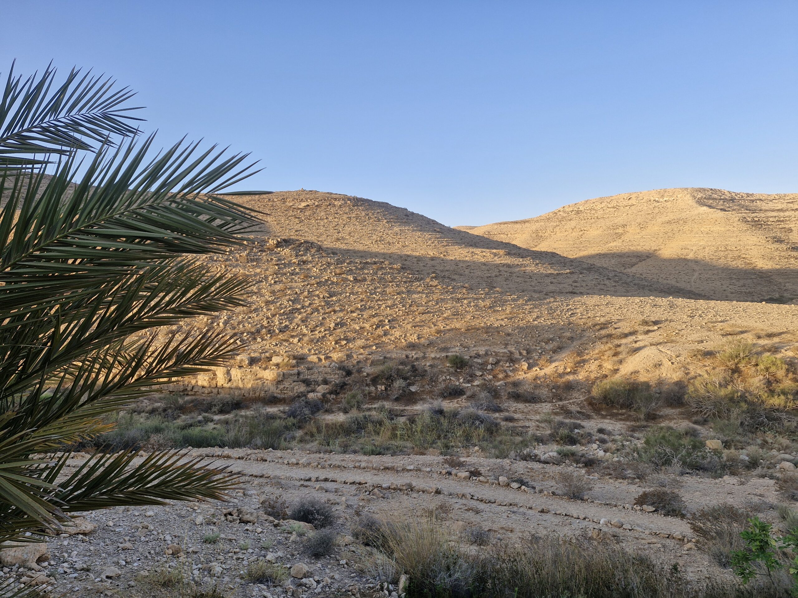 נוף מדברי מהפנט ממרפסת הבקתה בחוות נאות