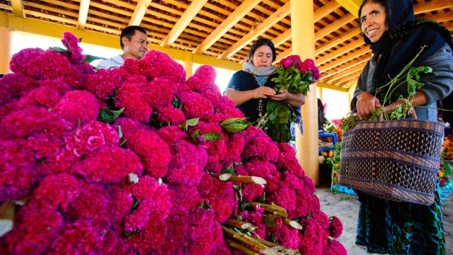 פרחים ומנחות למתים