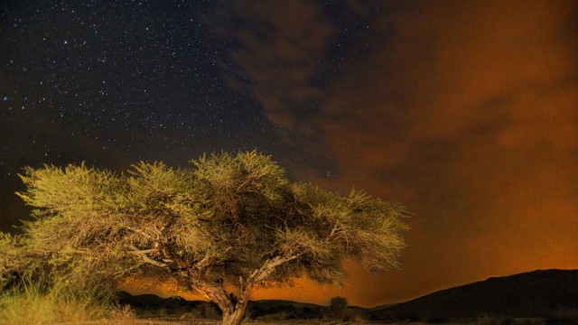 נחל ברק בערבה, צילום יונתן אליכיס