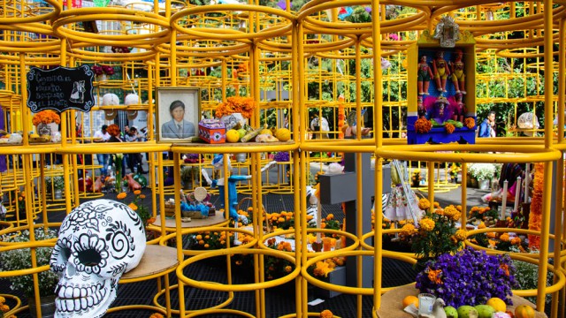 מיצב אמנותי בבניין לטינו-אמריקה, מקסיקו סיטי