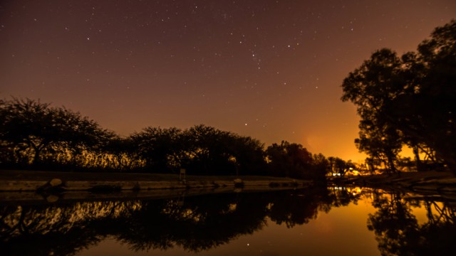 לילה בפארק אשכול, צילום יונתן אליכיס