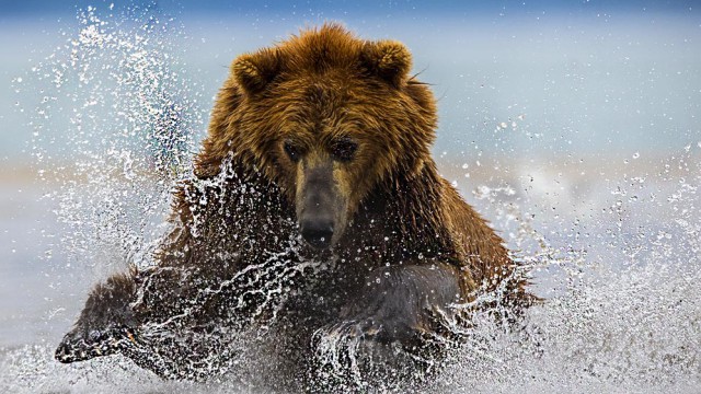 מיד אתפוס לי דג שמן | צילום: איציק בן מלכי