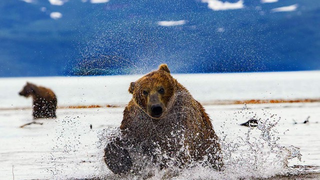 ניעור אחרון של המים | צילום: איציק בן מלכי