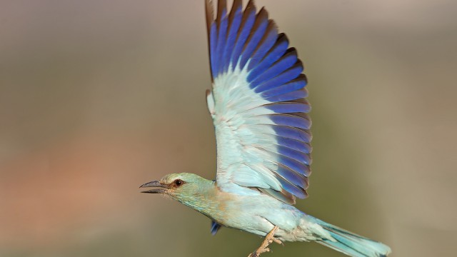 צילום: שלמה ולדמן