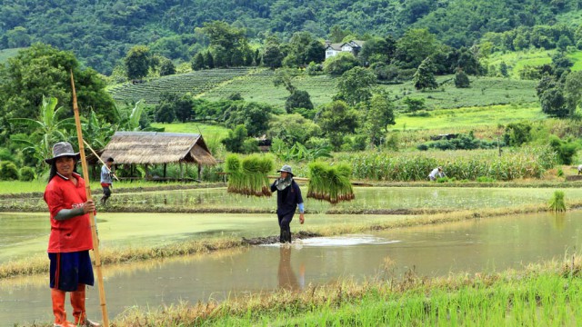 מקום 14. צילום: יובל פלג