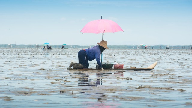 מקום 5. צילום: ים סיטון