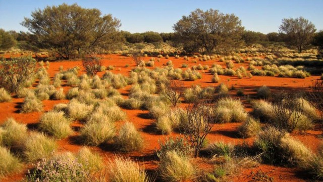 הלב האדום של אוסטרליה