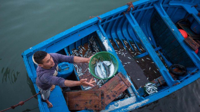צילום יגאל סלבין