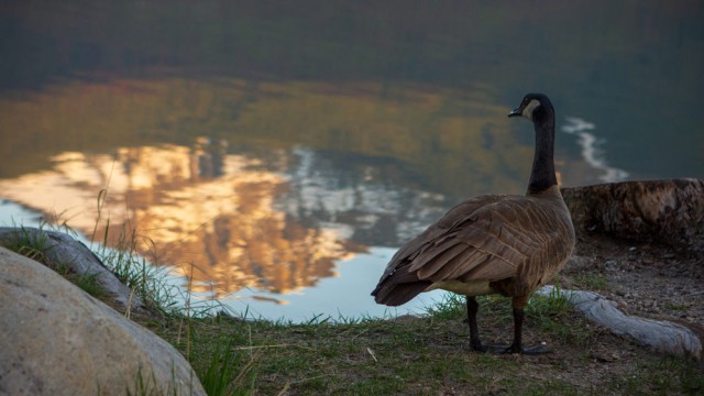 אגם פירמיד, צילום: אורית גוטרבוים-פרטוק