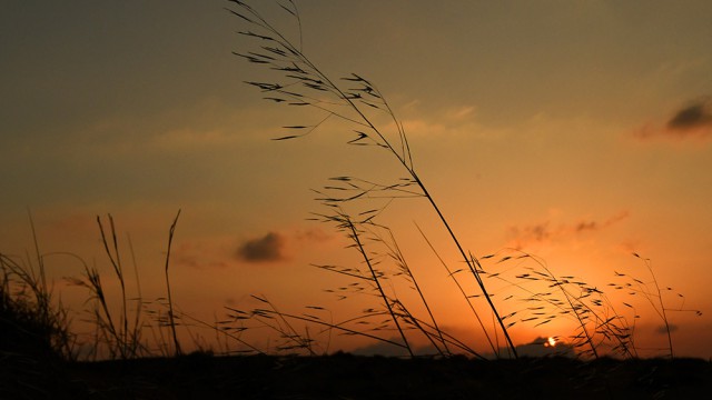 שקיעה בחולות משאבים, צילום רונן וטורי
