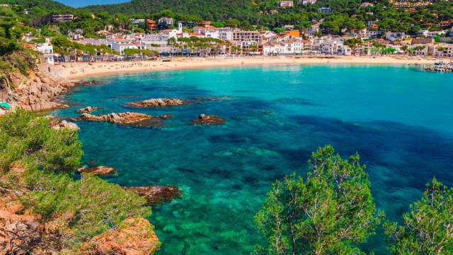 קאלה דה פאלאפרוגל בקוסטה בראווה