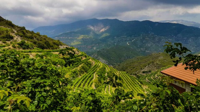 ברמים בהרי טרודוס, קפריסין