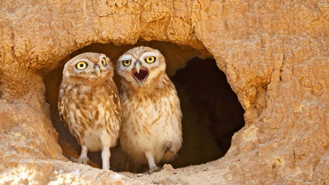 צילום שלמה ולדמן