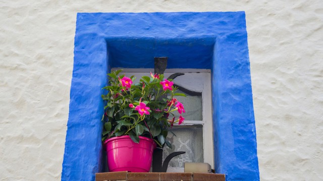 חלון ברובע העתיק של סטיג'ס