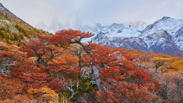 סתיו בפארק הקרחונים, דרום ארגנטינה