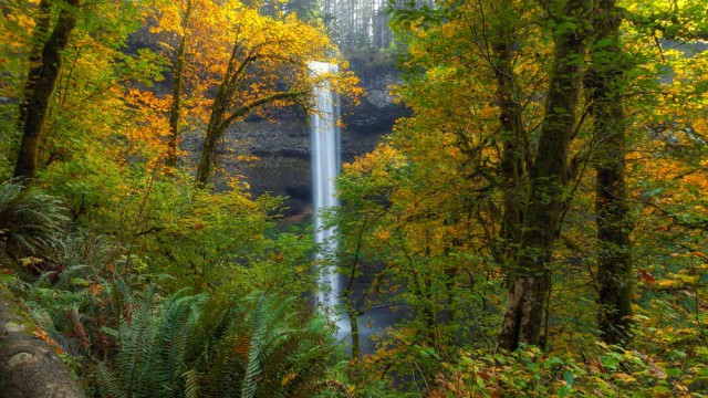 פארק סילבר פולס, אורגון