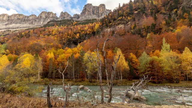 חמישים גוונים של כתום בפארק אורדסה, הפירנאים הספרדים
