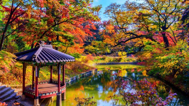 גני ארמון צה'אנגדאק, סיאול, קוריאה הדרומית