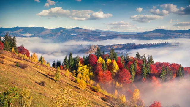 הרי הקרפטים באוקראינה