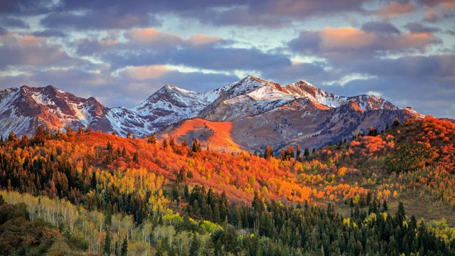 הרי יואינטה ביוטה