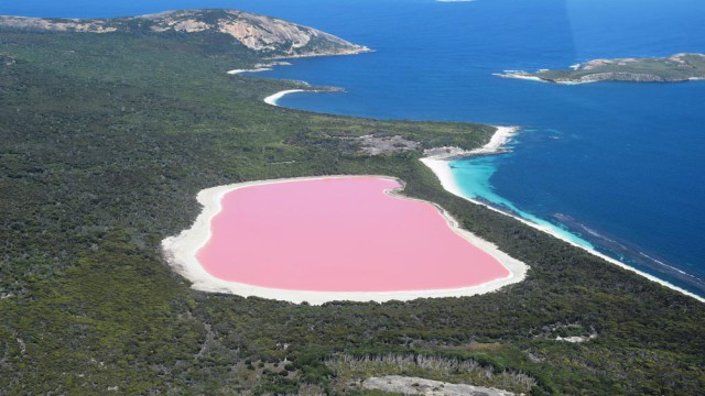 האגם הוורוד: אגם הילייר, מערב אוסטרליה
