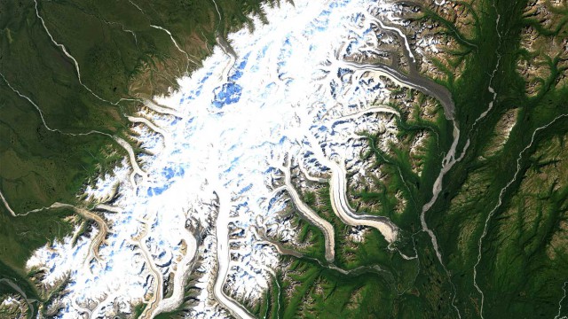 שמורת דנאלי באלסקה