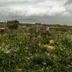 גבעת המורה בסוף החורף, צילום ברוך גיאן