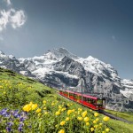רכבת היונגפראו על רקע האלפים הברניים במרכז שווייץ, צילום: swiss-image.ch/Jeroen Seyffer